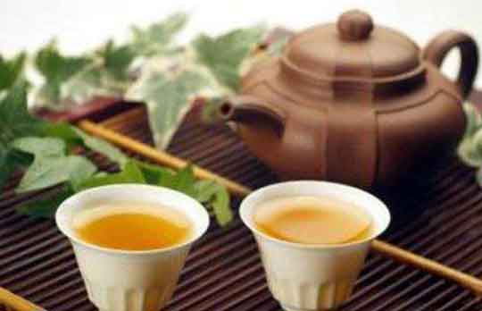 石斛和茶叶能一起泡吗，枫斗能同什么泡茶喝？