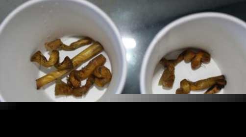 铁皮石斛泡水喝
