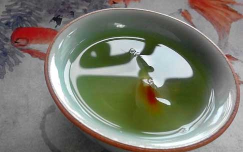 鲜铁皮石斛榨汁