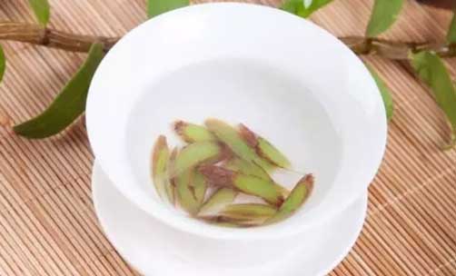 鲜铁皮石斛泡茶